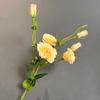 Flor Artificial Lisianthus Ramo de Boda Accesorios para Fotografía Habitación de Modelo Sala de Estar de Casa Mesa de Comedor Flor Falsa Ramo Decorativo