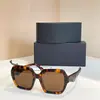 Gafas de Sol de Diseñador de Lujo Combinación de Colores Gafas Vintage Anti-UV Versión Europea Americana Gafas de Estrella 26Z