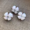 Atacado do Fabricante Flores Secas de Cabeça de Algodão Inserções de Simulação de Algodão Acessórios para Casa Decorações de Interiores Flor Imortal de Algodão