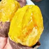 Batata Dulce de Durian Real, Batata Amarilla Fresca, Batata Asada Recién Desenterrada, Verduras Suaves y Dulces