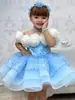 2025 Nuevo Vestido Infantil Niña de las Flores Transfronterizo Niña Pequeña Bordado con Cuentas Fiesta de Cumpleaños Vestido de Princesa Anfitrión Piano