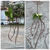 Nova simulação de feijão longo macio casa flores falsas atacado vento natural casamento flor beleza Chen simulação flor comércio exterior