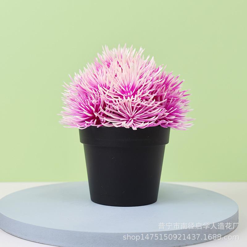 3D1A3709.jpg