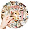 50 Serie Pintura al Óleo Lindas Pegatinas de Gato Rojo de Internet Pegatinas Decorativas Impermeables de Dibujos Animados para Niños Amazon Venta Caliente