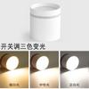Suministro directo de fábrica Norde plafón LED de superficie redondo macarrón sin perforaciones para techo luz no principal doméstico COB Ming