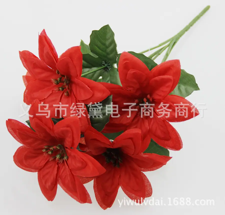 圣诞花