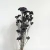 [Flor branqueada cor clara do arroz] arranjo de flor 50g do vaso dos ins da flor do arroz