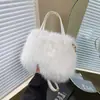 Bolsa de Mão Pérola Moda Tendência Simples Estilo Coreano Outono e Inverno Nova Textura Alta Peluda Bolsa Transversal Social