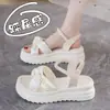 Sandalias Elásticas de Suela Gruesa para Mujer, Estilo Nuevo Verano 2025, Ligeras y Versátiles, Adecuadas para el Trabajo Diario y para Usar con Vestidos, Zapatos de Playa