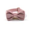 Conjunto de collar y lazo para mascota con hebilla dorada, de terciopelo color champán y letras de Mizha Boss.
