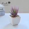 Suculenta Pequeño Bonsái Cerámica Muebles para el Hogar Decoración Fabricante de Jinhua Plantas Verdes Aliexpress Flor Artificial Plantas en Maceta