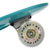 Skate de 22 pulgadas Tablero de Pescado de Plástico Modelo Nuevo Skateboard Impreso por Transferencia de Agua de Cuatro Ruedas Las Ruedas de Skate de Alta Elasticidad Son Antideslizantes