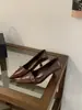 Zapatos Mary Jane Poco Profundos de Punta Fina para Mujer, Estilo Nuevo Primavera 2026, Chic Maduro, con Tacón Delgado y Hebilla Metálica, Cómodos para Combinar con Faldas