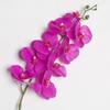 Flor Artificial 9 Cabeças Núcleo Rolo Phalaenopsis Orquídea Nórdica Decoração de Casa Flor de Casamento Ornamento Fotográfico Flor Falsa
