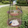 Comedero Colgante para Pájaros Transfronterizo Baño para Pájaros Decorativo para Exteriores Balcón Exterior Jardín Alimentador de Colibríes Caja de Agua y Comida