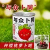 Kit de Observação de Plantas em Vasos Pequenos DIY para Crianças, Planta em Lata Fácil de Cultivar Caixa Surpresa Conjunto de Presente para Estudantes, Conjunto de Presente Criativo