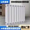 Radiador Composto de Cobre-Alumínio 8080 com Circulação de Água, Radiador de Parede de Cobre-Alumínio