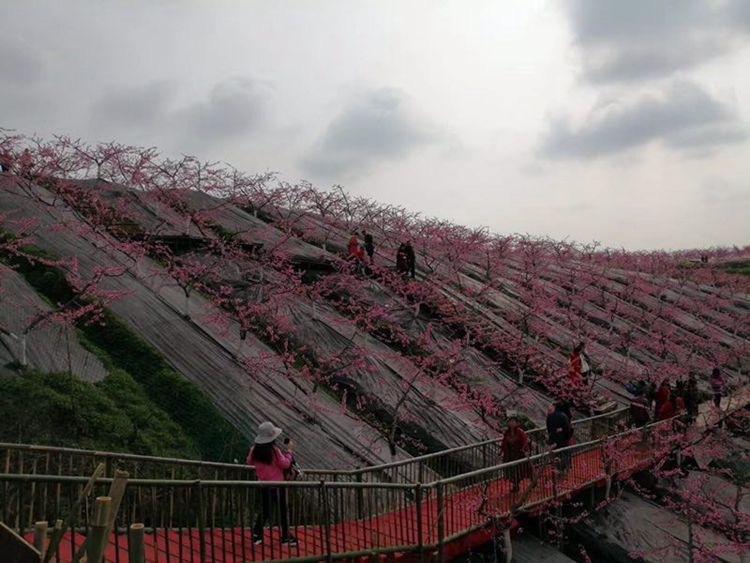 微信图片_20230412213453