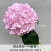 Flor de Simulación 3D Tallo Único 216 Pétalos Hortensia Grande Soleada Flor de Boda Arreglo Decoración Celebridad de Internet Hogar Decoración Suave Comercio Exterior al por Mayor