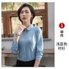 Camisa Azul de Manga Larga 2023 Primavera y Verano Nueva Ropa de Mujer Profesional Entrevista Front Office Bancario Adelgazante Ropa de Trabajo Top