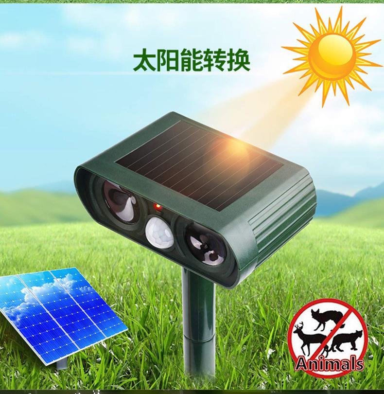 11558367752_1039191942 (1)