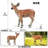 Crianças Simulação Veado-de-cauda-branca Animal Alce Veado Sika Modelo Ornamentos Sólidos Conjunto Brinquedos de Natal