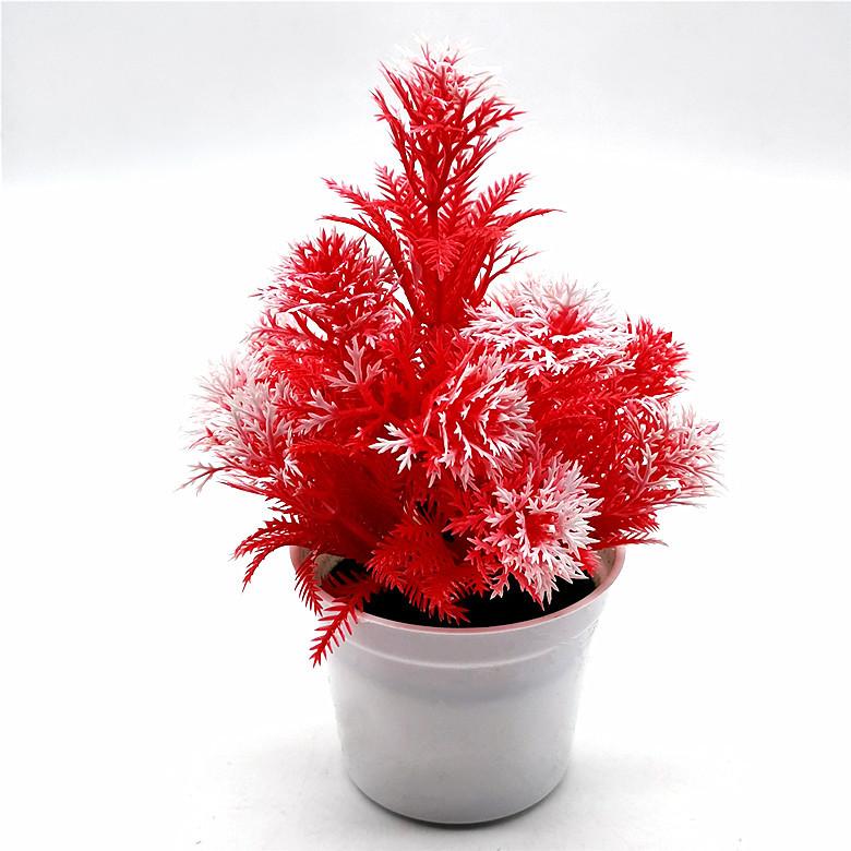 IMG_20220301_152736_副本