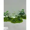 Decoración de paisajismo de plantas verdes cortas plantas artificiales sala de estar interior muebles blandos tienda de paisajes pequeños montones de hierba musgo micro paisajismo