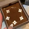 Pulseira de flor em zircônia e madrepérola banhada a ouro 18k, design exclusivo, estilo vintage, luxo discreto, joia de alta qualidade
