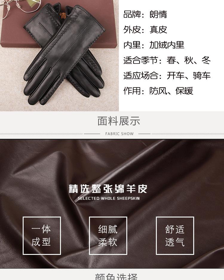 双长城花详情图_01