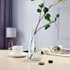 Vaso de Vidro Iridescente Aurora INS Nórdico Transparente Arranjo de Flores Cultivo em Água Simples Estilo Fresco para Desktop Vaso Pequeno Dourado