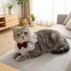 4 Peças de Gola de Renda para Cachorros Gatos, Gola Princesa Ajustável Macia com Laço de Veludo e Pérola, Adereço Fofo para Fotos de Pets para Todas as Estações