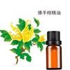 Suministro de Aceite Esencial Transfronterizo Químico Diario Aceite Esencial de Bergamota 10ml Aromaterapia Masaje Lavanda Humidificador Vela Planta