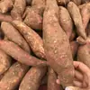 Batatas Dulces Frescas de Variedad AntiguaBatatas Dulces Amarillas Sin Fibra Cultivadas en Casa Recién Desenterradas 2.5kg / 4.5kg