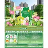 Layout de cena temática de primavera, atmosfera de decoração, jardim de infância, passeio de primavera, fundo de parede, shopping, atividade de primavera, quadro KT