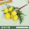 Decoração de Parede Vinha de Limão Plantas Verdes Densas Trepadeiras de Parede Arranjo de Atmosfera Flores Artificiais Loja de Frutas Enfeites Pendurados