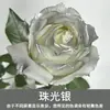 Tinta Spray para Flores, Corante Azul Gelo Triturado Ameixa, Flor de Sabão, Flor Seca, Spray de Arte Floral, Suprimentos para Floricultura Atacado