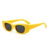 Nuevas Gafas de Sol Ojo de Gato Mi Gafas de Sol Poligonales para Mujer Personalidad Europea y Americana Gafas de Sol Retro Resistentes a los Rayos UV