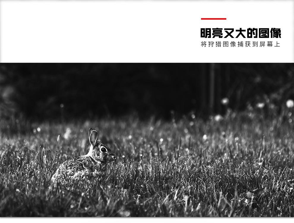 FIRE-WOLF-YSY005-京东_02