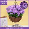 Plantas Colgantes Artificiales Colgantes de Pared Lirio Cesta Pequeña de Flores Flores Falsas Margarita Pequeña Flor de Gloria de la Mañana Rama Decoración del Hogar