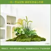 [Série dos 24 Termos Solares] Paisagismo de Jardim de Plantas Simuladas Florais Pátio Interno Decoração Grande e Macia Hotel