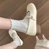 Chic sapatos cheongsam brancos para mulheres, novo estilo outono 2026, combinados com saias, sapatos pequenos Mary Jane de couro, bico redondo, sapatos de couro únicos estilo chinês novo