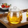 Suministro al por mayor vidrio resistente a altas temperaturas Pingüino olla Vidrio de borosilicato alto Tetera Pingüino tetera de 500 ml