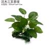 Decoración de Paisajismo para Acuario, Hojas de Hierba Acuática Simuladas, Madera Flotante, Plantas Simuladas, Adornos de Algas Marinas, Hojas de Seda Simulada, Decoración de Acuario