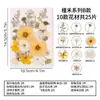 Flores secas, flores prensadas, flores prensadas DIY, espécimes de flores reais, folhas reais prensadas, marcadores de página de resina, materiais de espécimes de plantas de flores reais