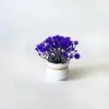 Produto popular transfronteiriço: Planta de gypsophila artificial em vaso para mesa de escritório em casa, mini bonsai de flor artificial para decoração de hotel e quarto, vaso de flores pequeno