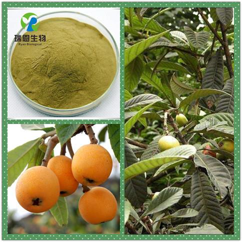 QQ截图20170810174348_副本121