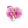 Grampo de Cabelo Phalaenopsis com Atmosfera Super Feérica para Mulheres Flor de Cabeça Mori Clipe de Bico de Pato Lateral Placa Traseira do Cabelo Clipe de Fixação de Cabelo Grampo de Cabelo