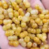 Jade Huanglong com furo passante cabaça Jade contas soltas gengibre cabaça tridimensional acessórios para pulseira colar contas atacado