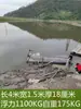 Plataforma Flotante Tablero de Espuma Tamaño Grande Barco Marino Plataforma Flotante Eva Extra Dura Alta Densidad Plataforma de Pesca